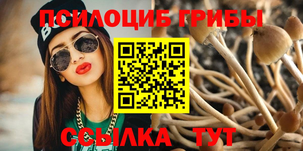 Хасавюрт  Галлюциногенные грибы ЛСД  наркота  Вход с VPN 